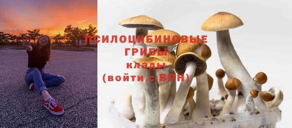 прущая мука Бронницы