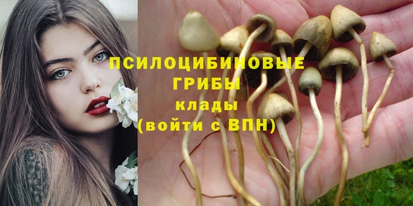 экстази Богородск