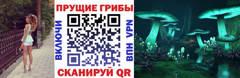 Галлюциногенные грибы GOLDEN TEACHER  Ставрополь 